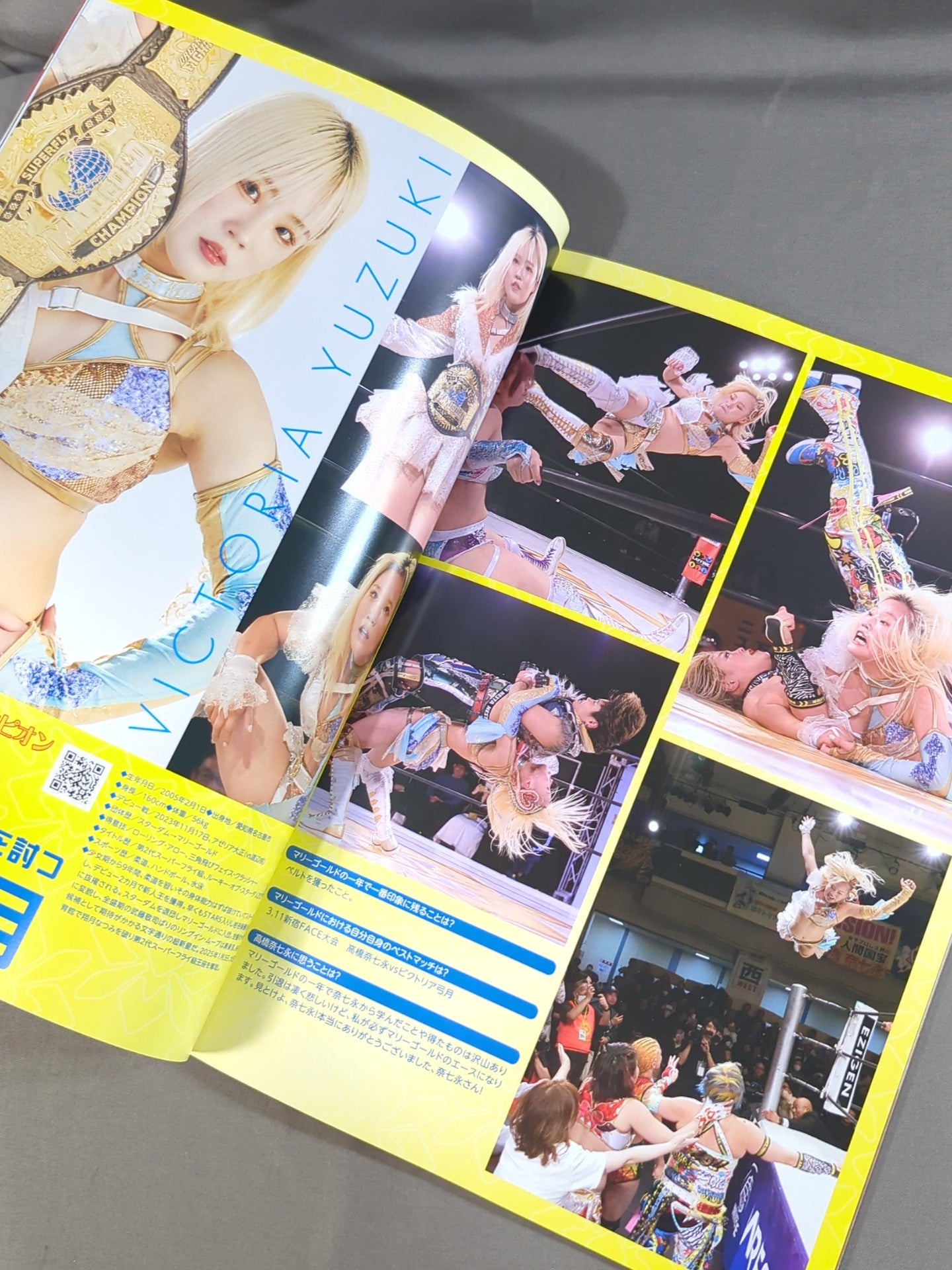 Marigold / MARIGOLD GUIDE BOOK Vol.10