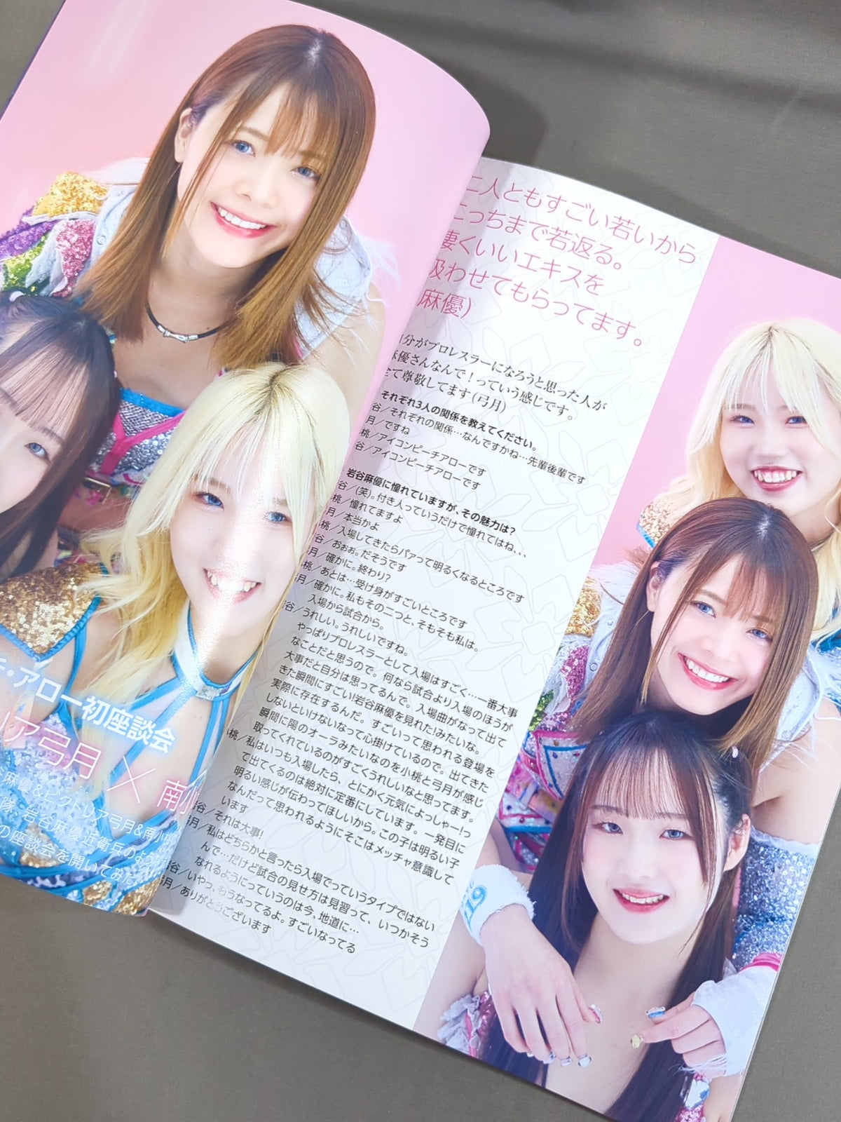 Marigold / MARIGOLD GUIDE BOOK Vol.18