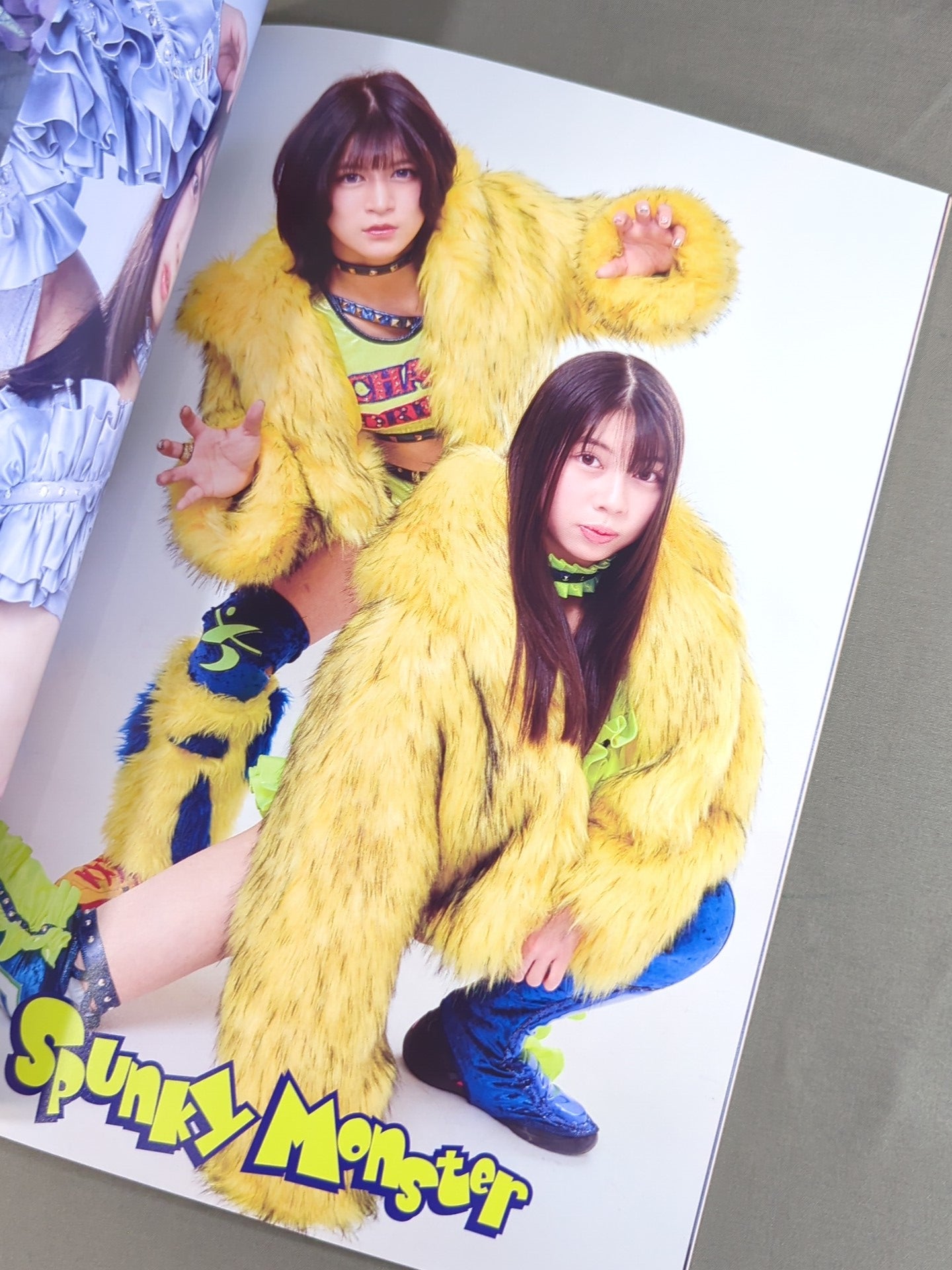 Marigold / MARIGOLD GUIDE BOOK Vol.19