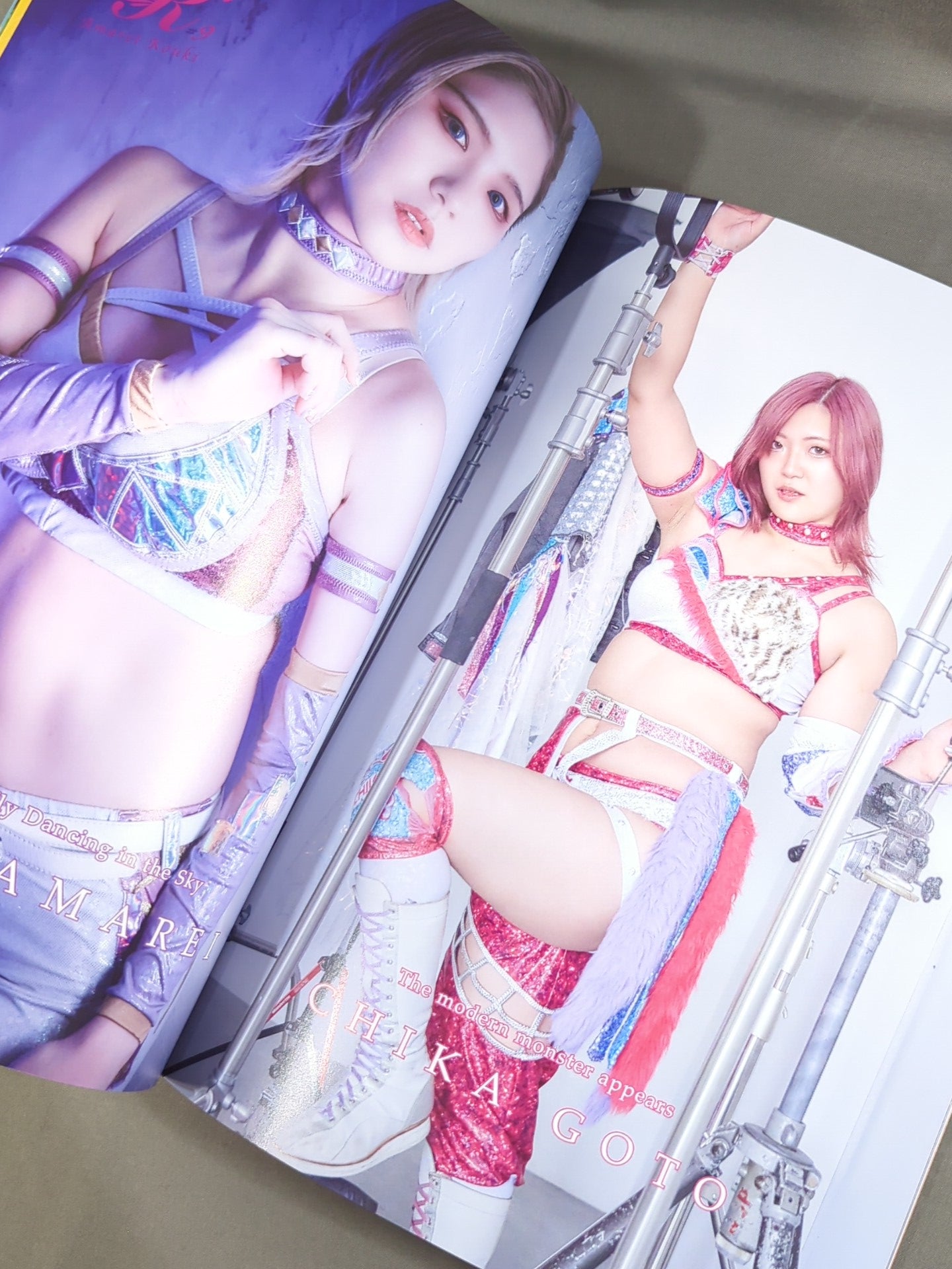 Marigold / MARIGOLD GUIDE BOOK Vol.19