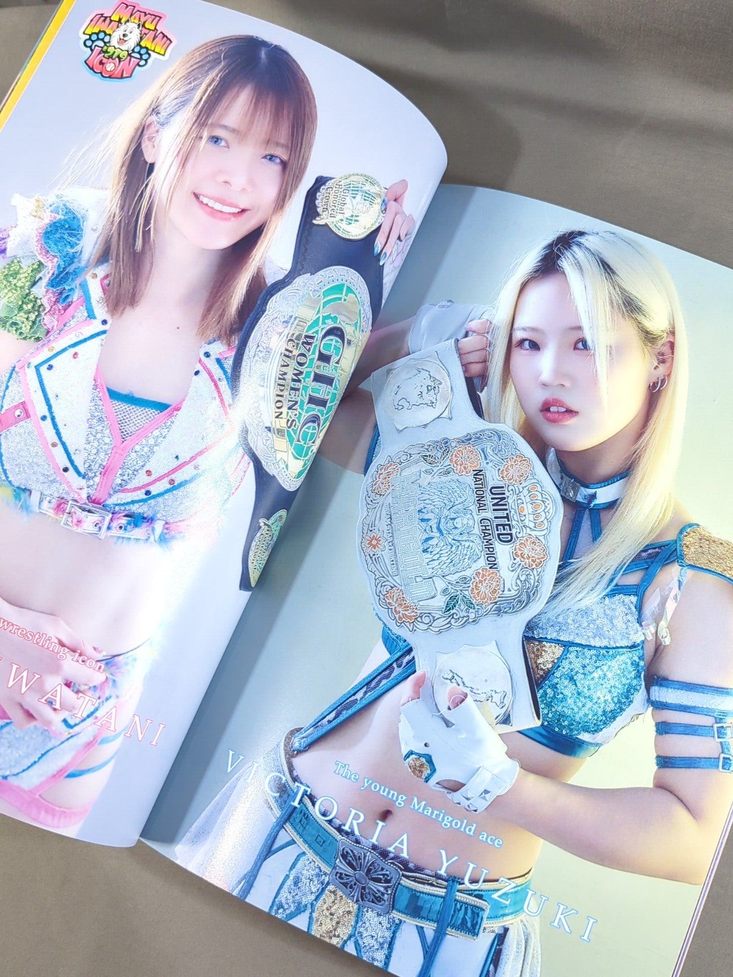 Marigold / MARIGOLD GUIDE BOOK Vol.19