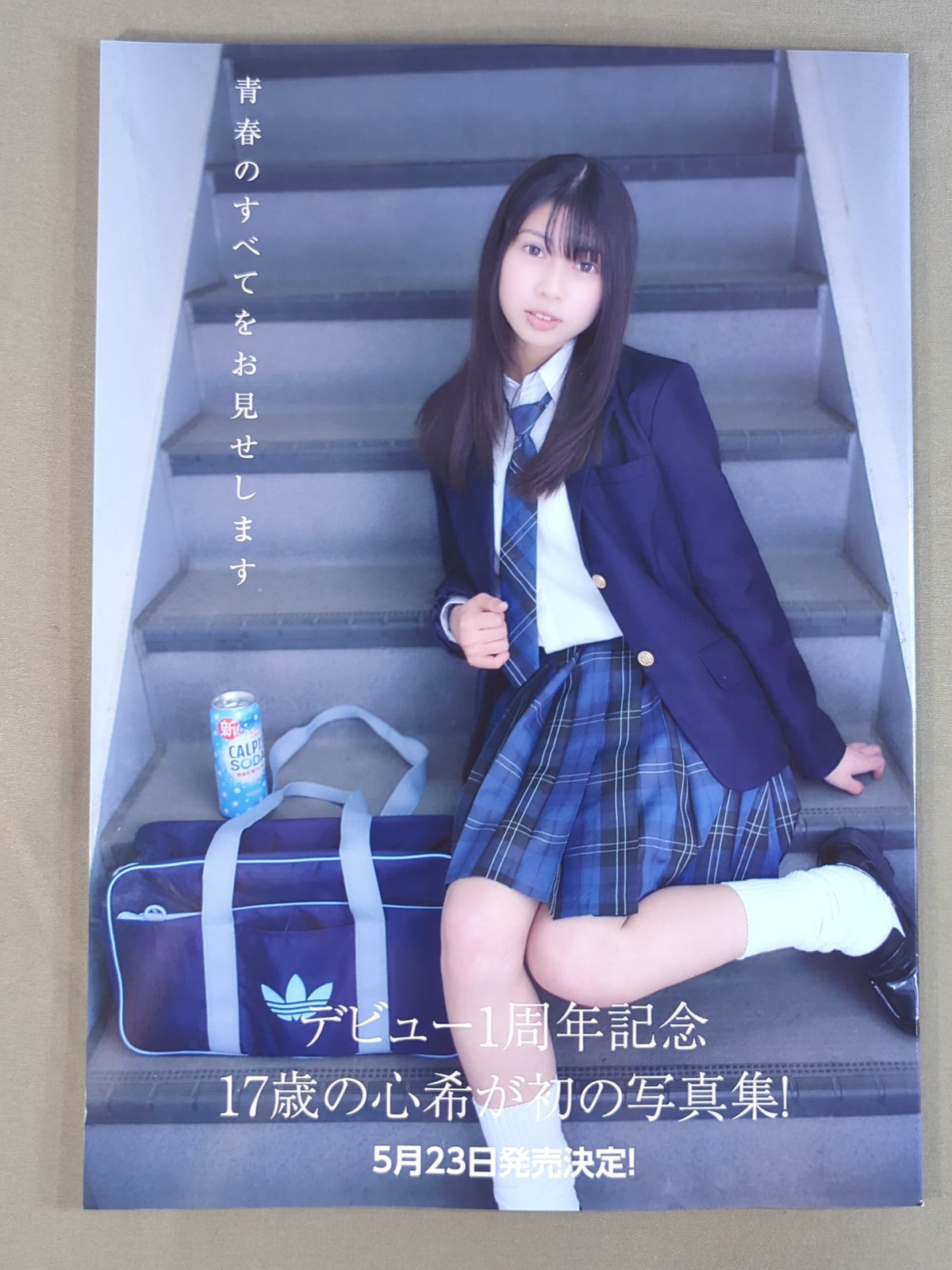 Marigold / MARIGOLD GUIDE BOOK Vol.19