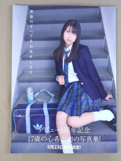 Marigold / MARIGOLD GUIDE BOOK Vol.19