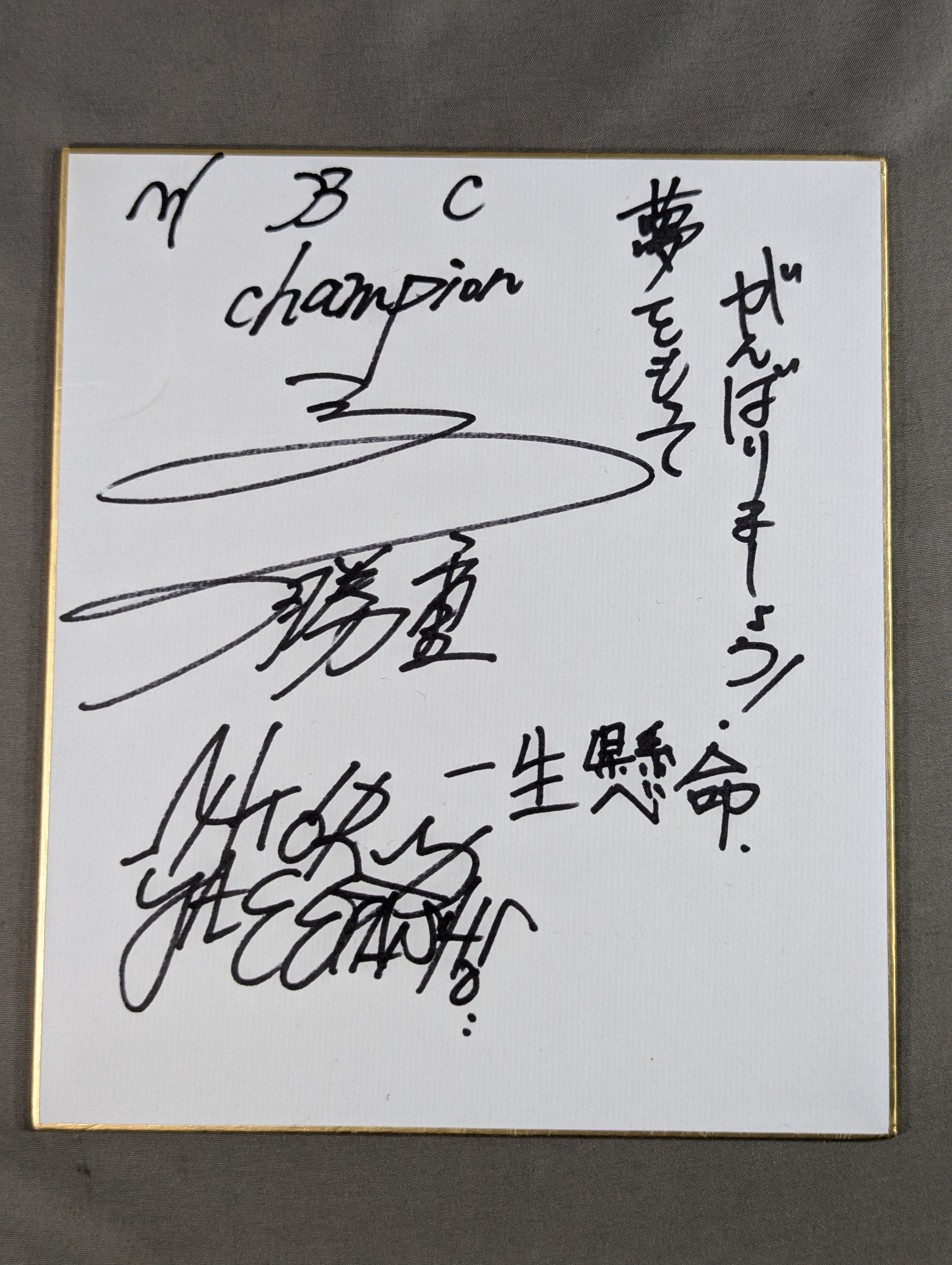 ボクシング – 闘道館