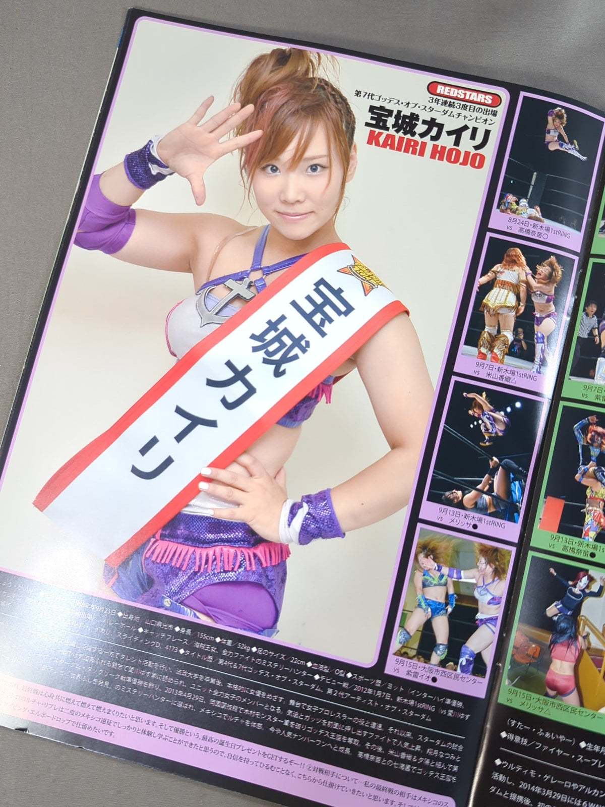 STARDOM OFFICIAL GUIDE BOOK Vol.51