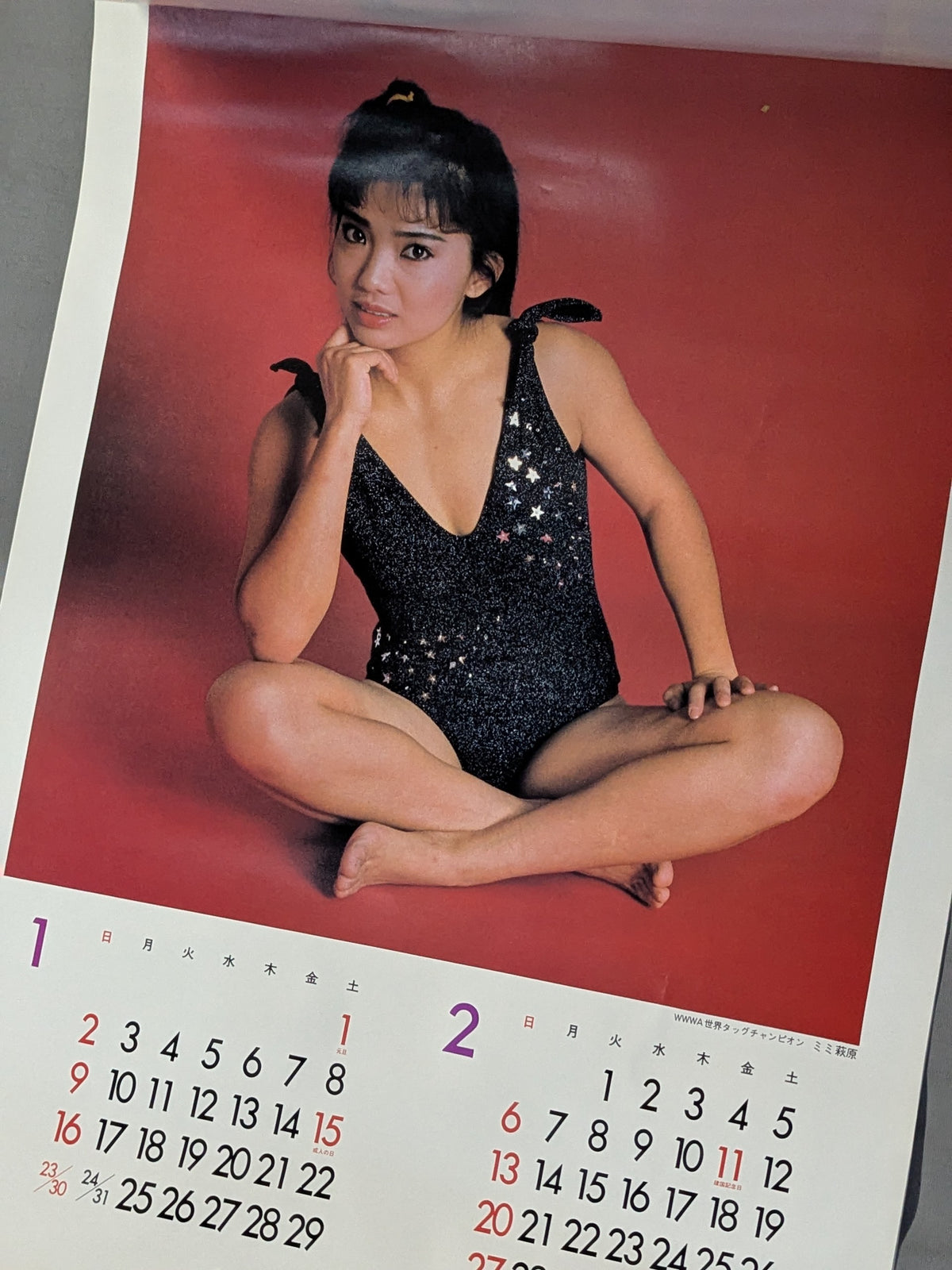 全日本女子プロレス 1982年カレンダー