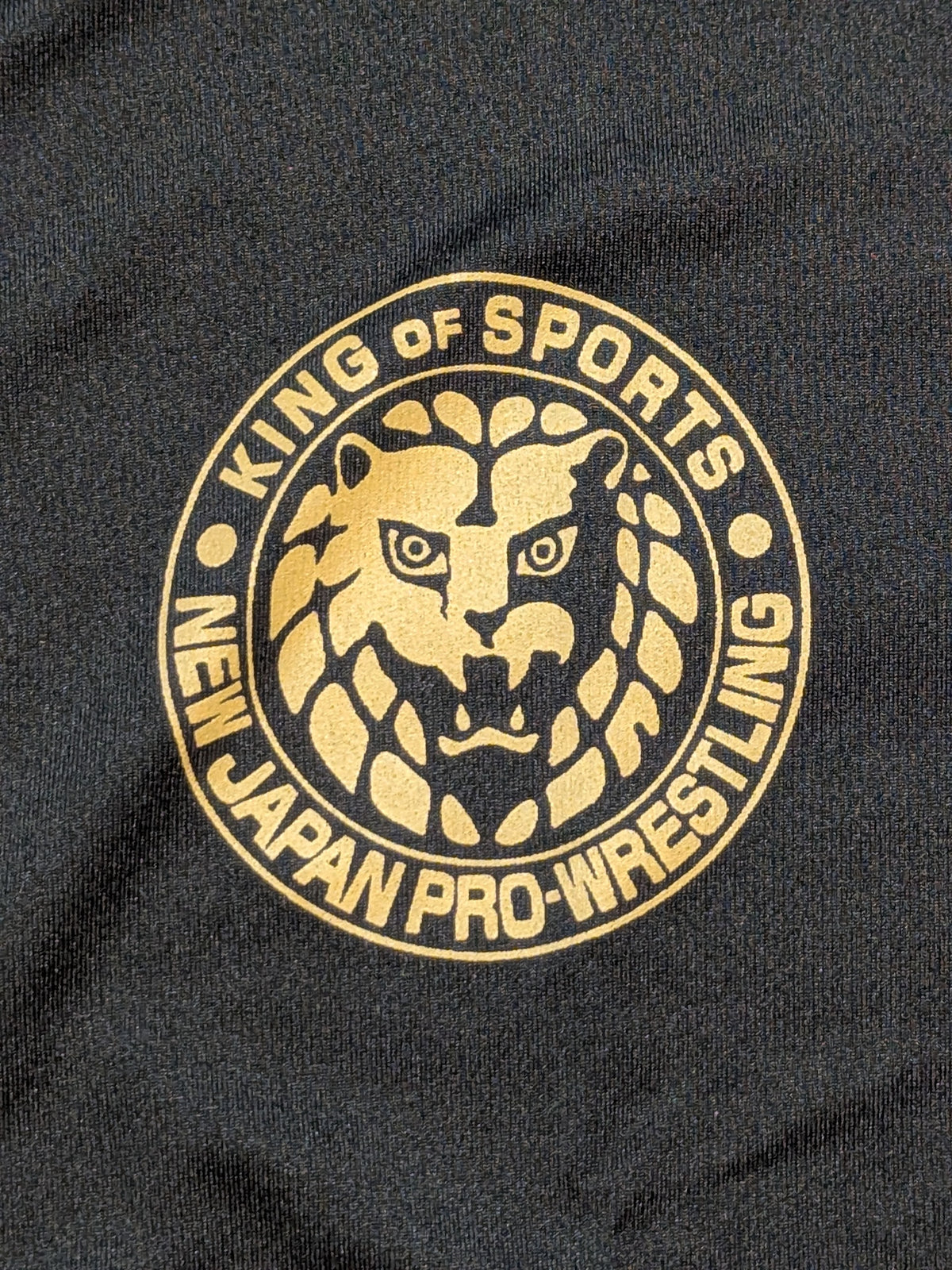 WRESTLE DYNASTY オリジナルベースボールシャツ