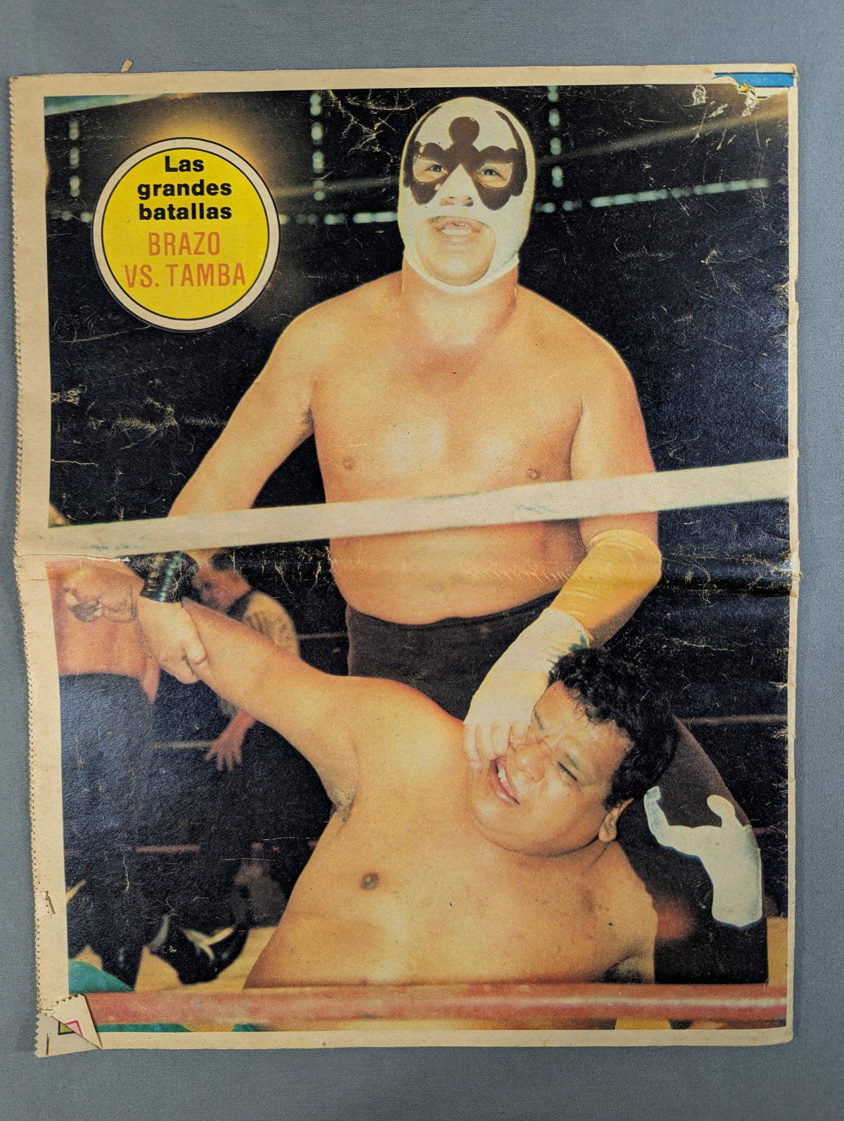 ESPECTACULAR El mundo de la lucha libra No.65