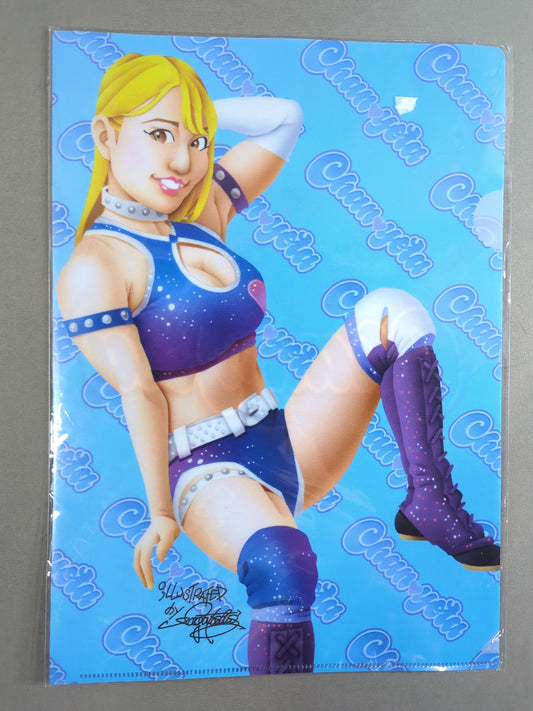 Collaboration illustration by ×Nagatoshi Sakai  Chanyota plastic file folder(1)
