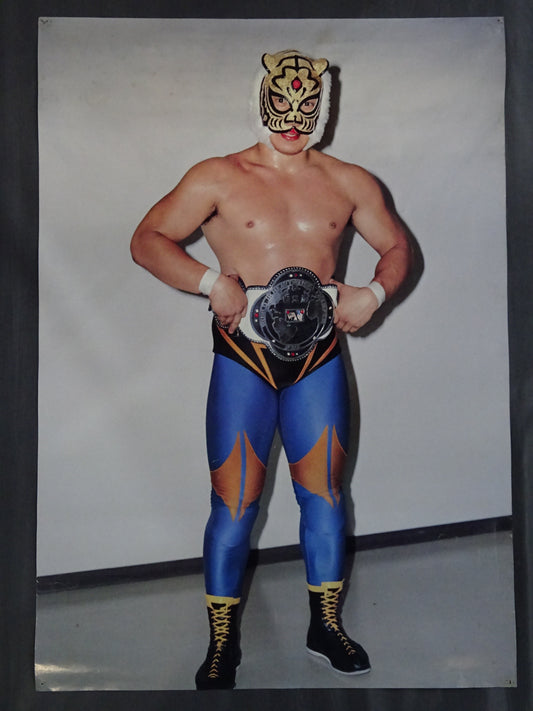 First Tiger Mask Poster (1)