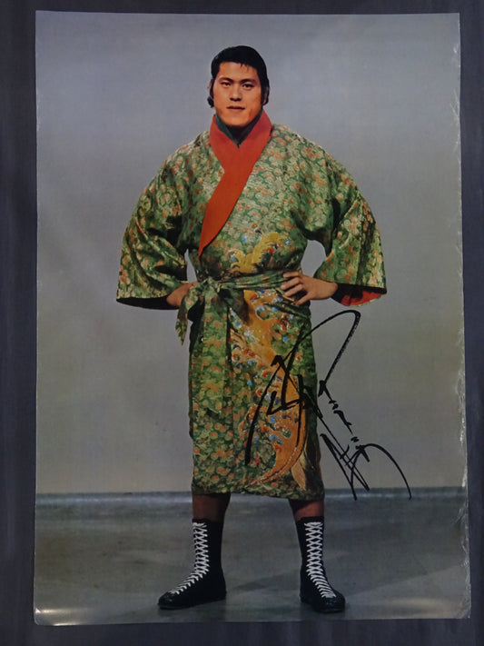Antonio Inoki  Posters (7)