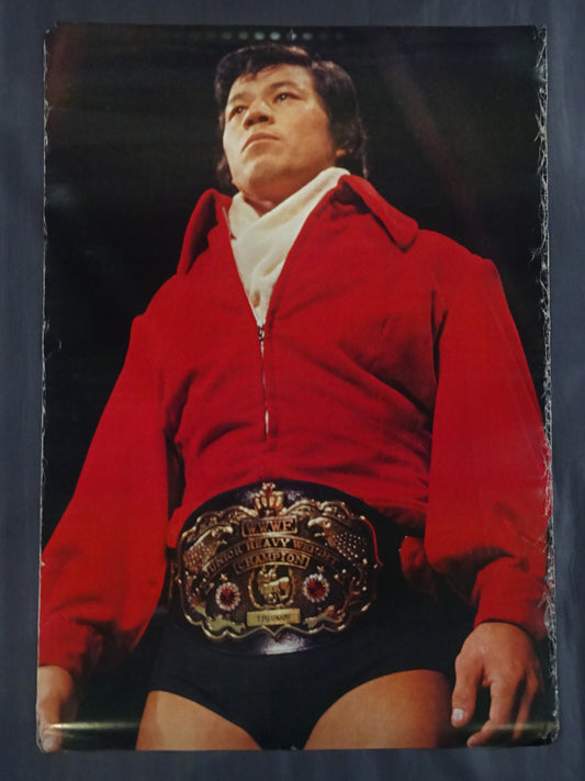 Tatsumi Fujinami  Poster (1)
