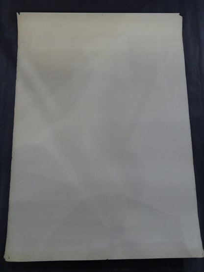 Tatsumi Fujinami  Poster (1)