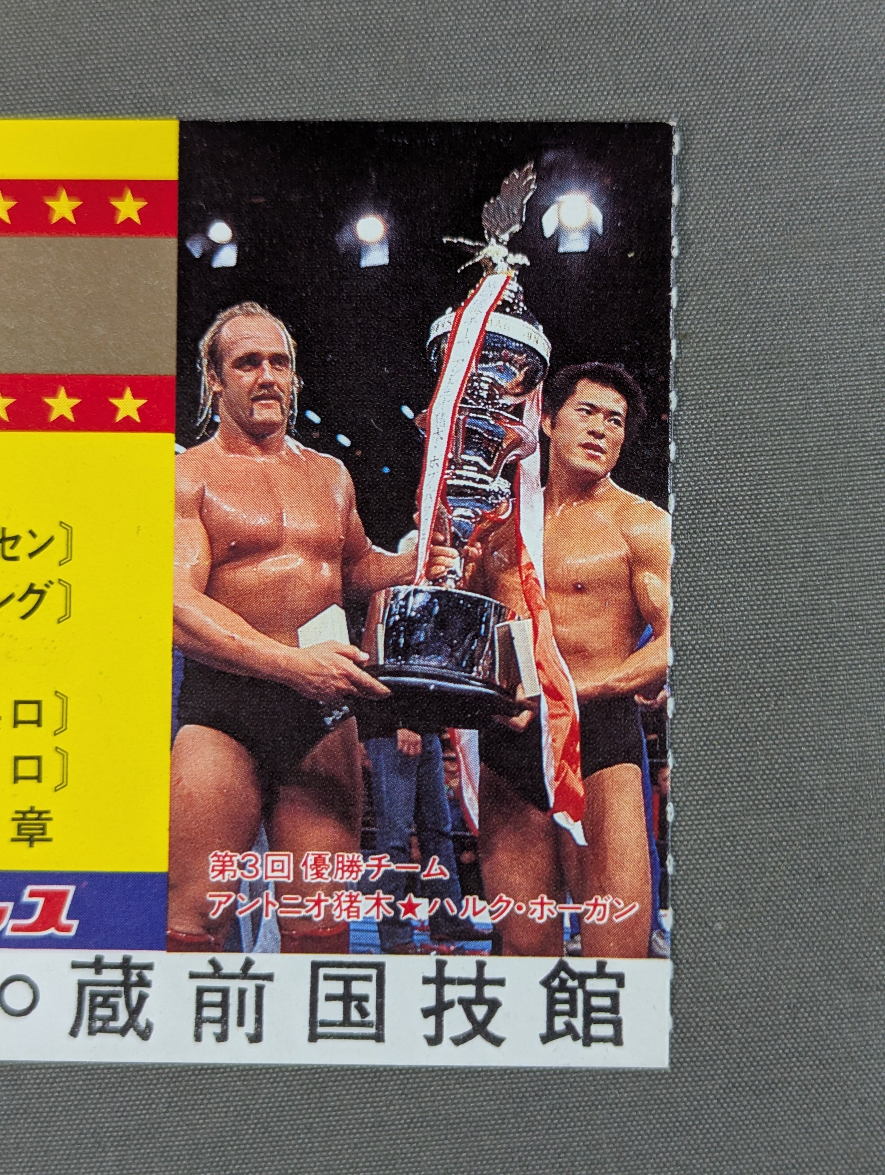 第4回MSGタッグ・リーグ戦【優勝戦】 – 闘道館