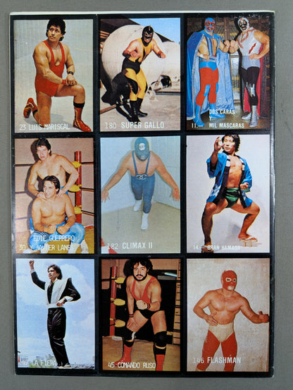 LUCHA LIBRE No.1242