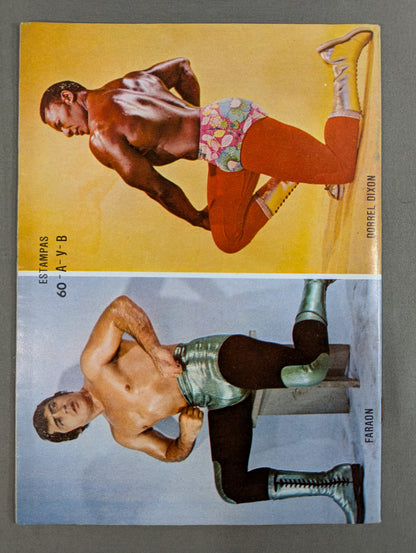 LUCHA LIBRE No.1250