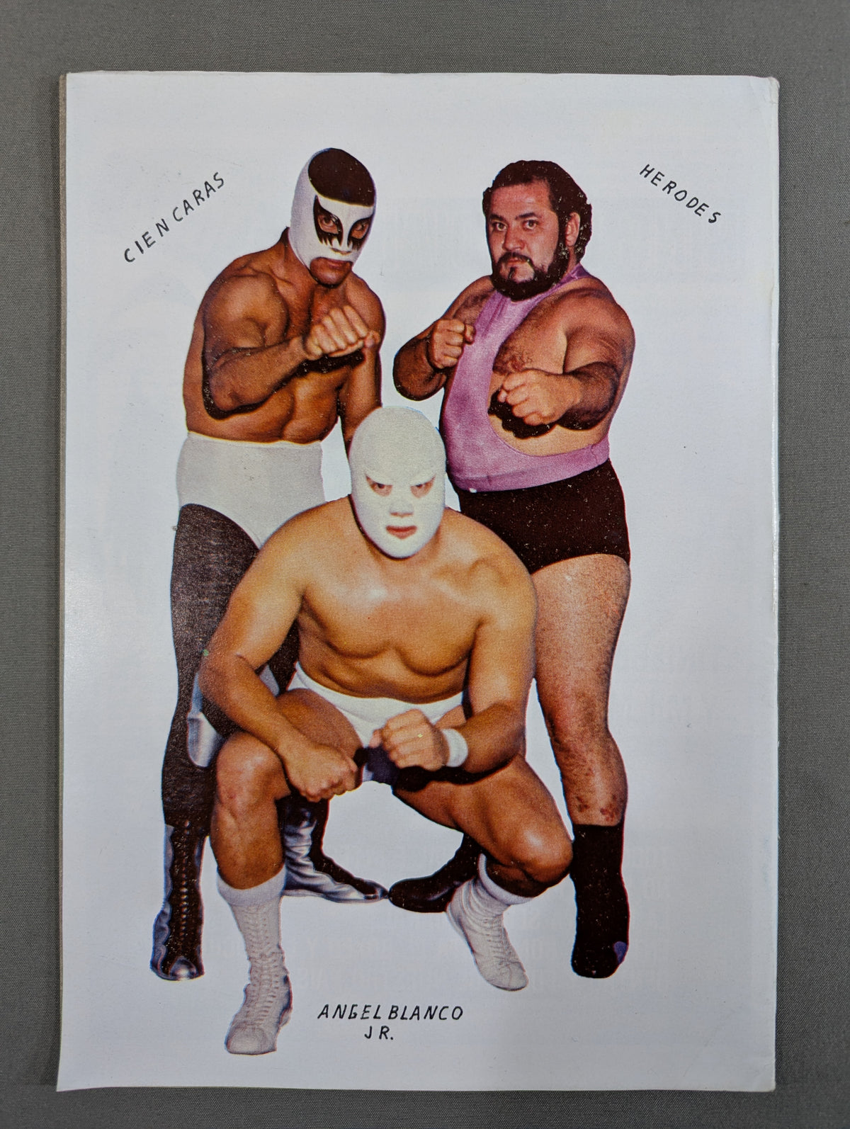 LUCHA LIBRE No.1255