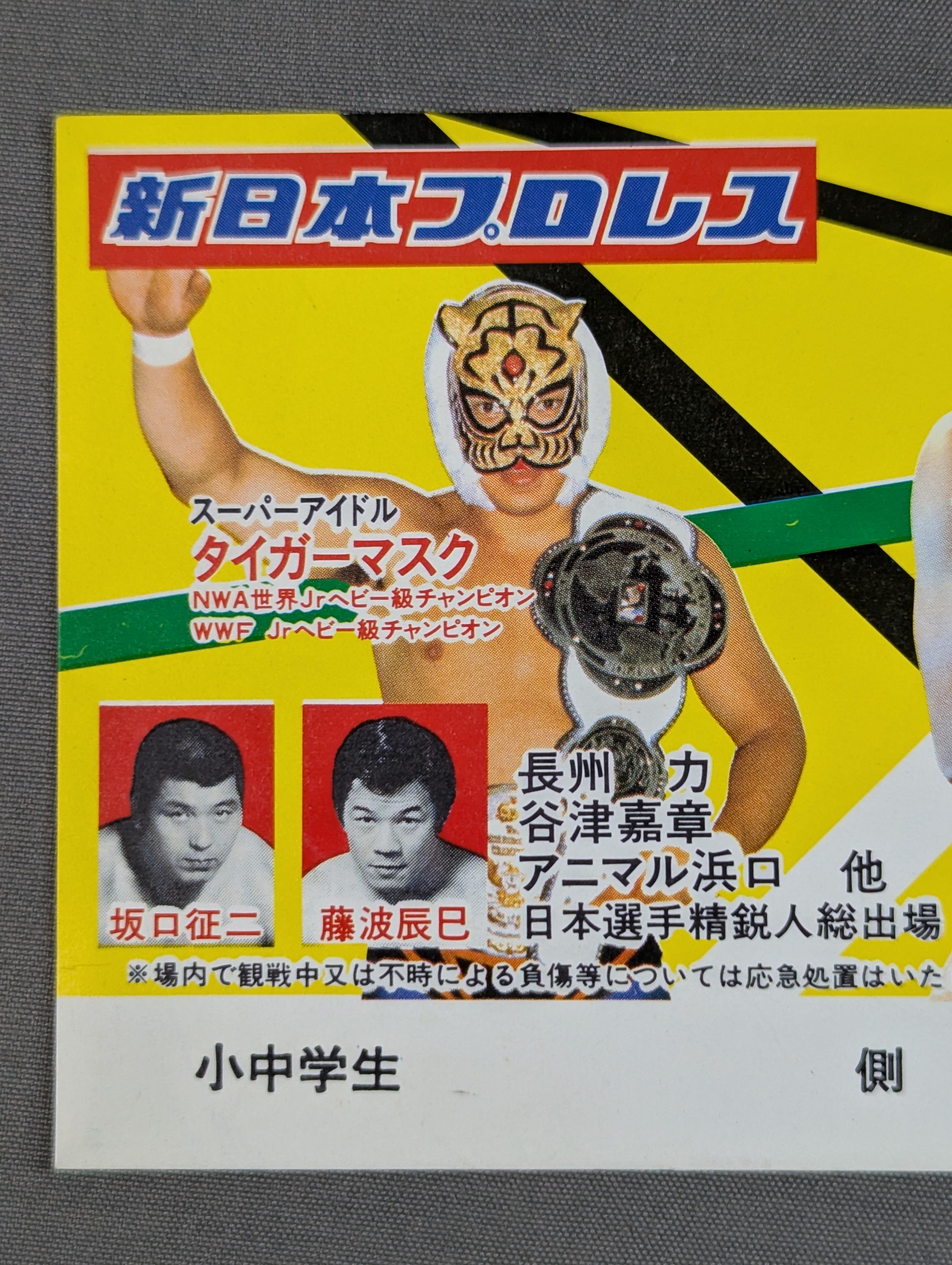 ☆タイガーvsB・タイガー☆ 82ブラディファイトシリーズ – 闘道館