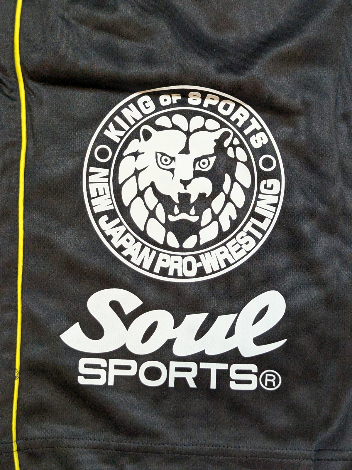 G1 CLIMAX 31× SOUL SPORTS Tournament Commemorative Dry Half Pants