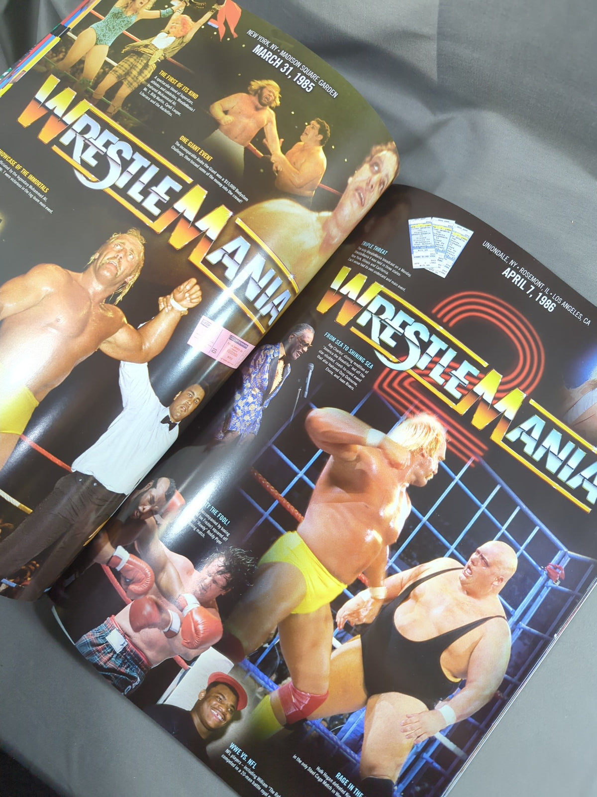 WWE OFFICIAL PROGRAM 2018(A)