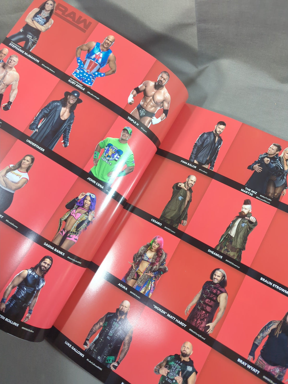 WWE OFFICIAL PROGRAM 2018(A)