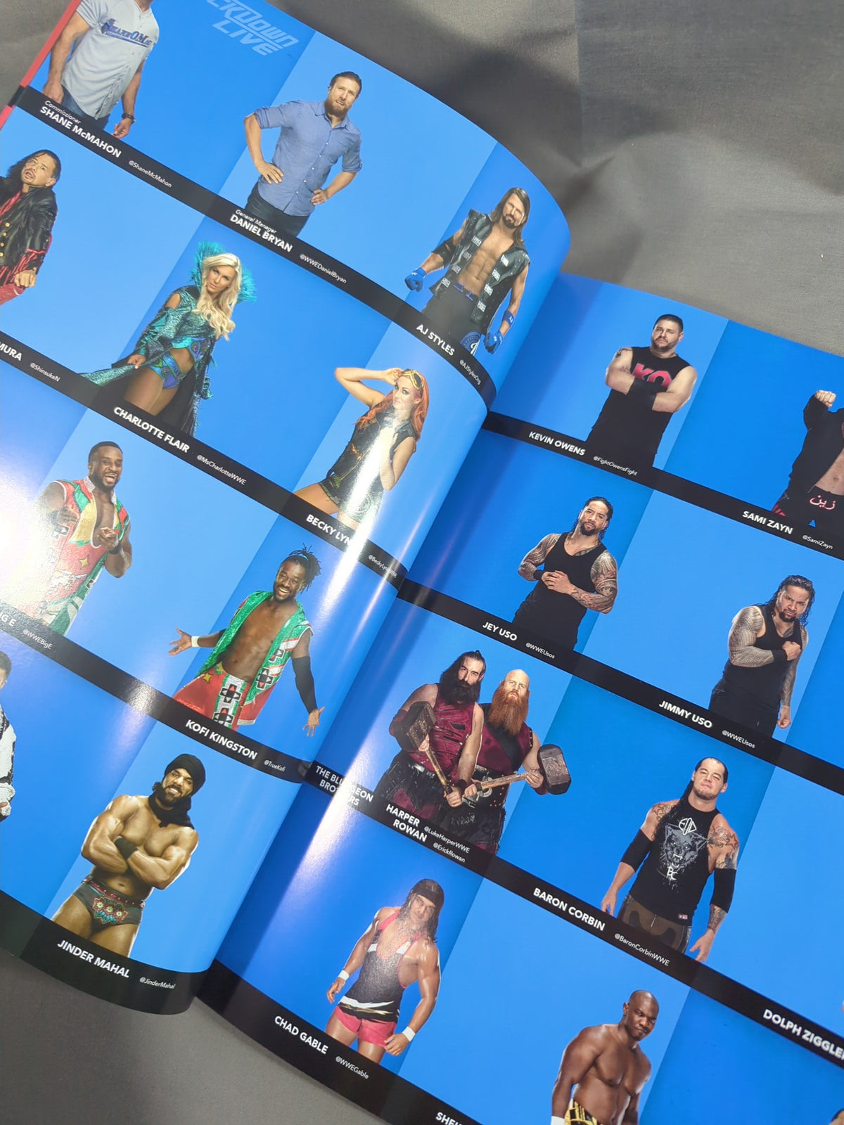 WWE OFFICIAL PROGRAM 2018(A)