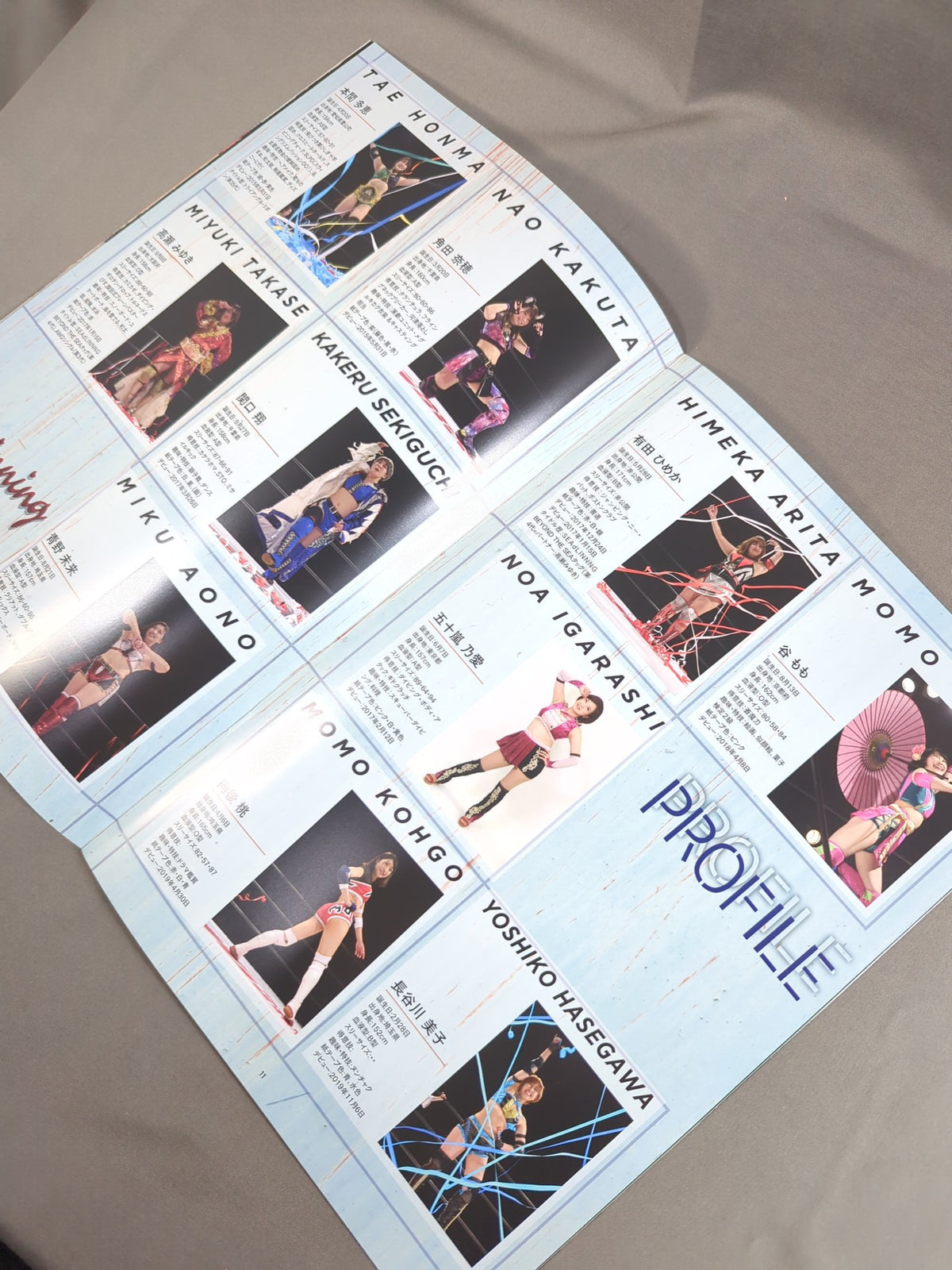 Actwres girl’Z アクトレスガールズ Vol.22