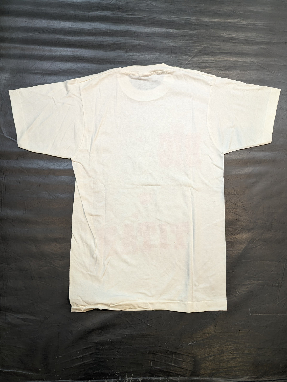 ビッグ・タイトン「BIG TITAN」ピクチャーTシャツ