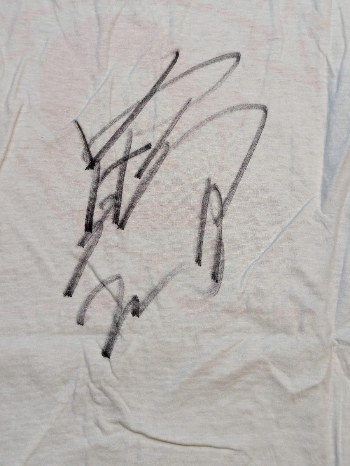 【hand signed autograph】 Goro Tsurumi "TSURUMI GYM" Illustration T-Shirt (1)