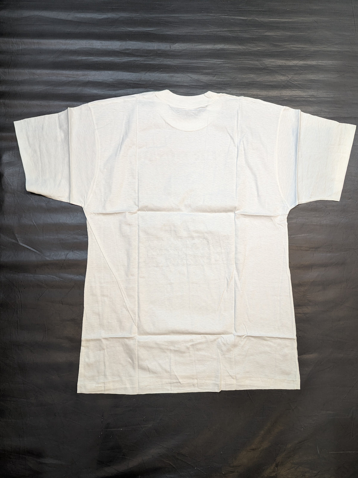 スペル・デルフィン ピクチャーTシャツ