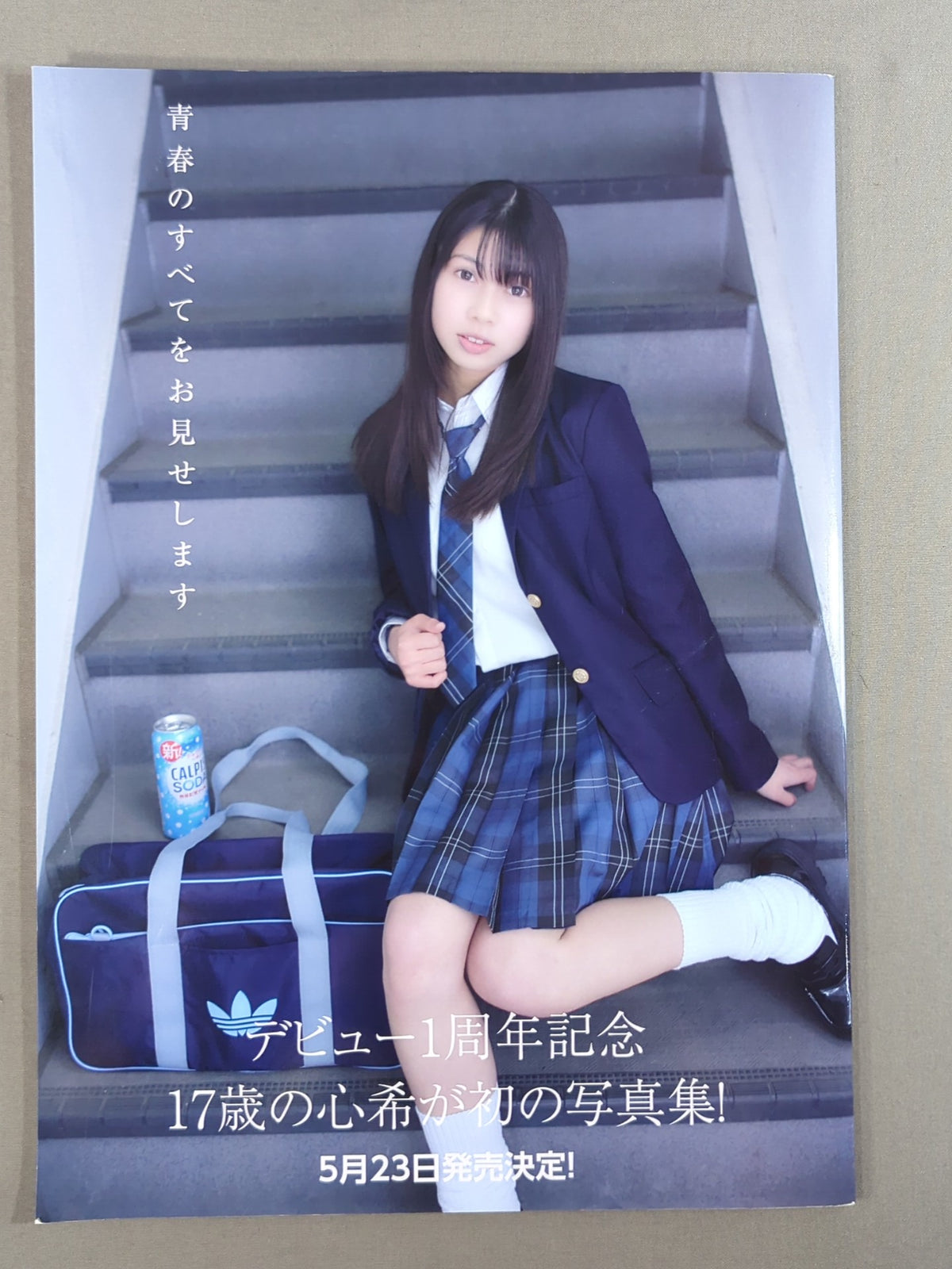 Marigold / MARIGOLD GUIDE BOOK Vol.19
