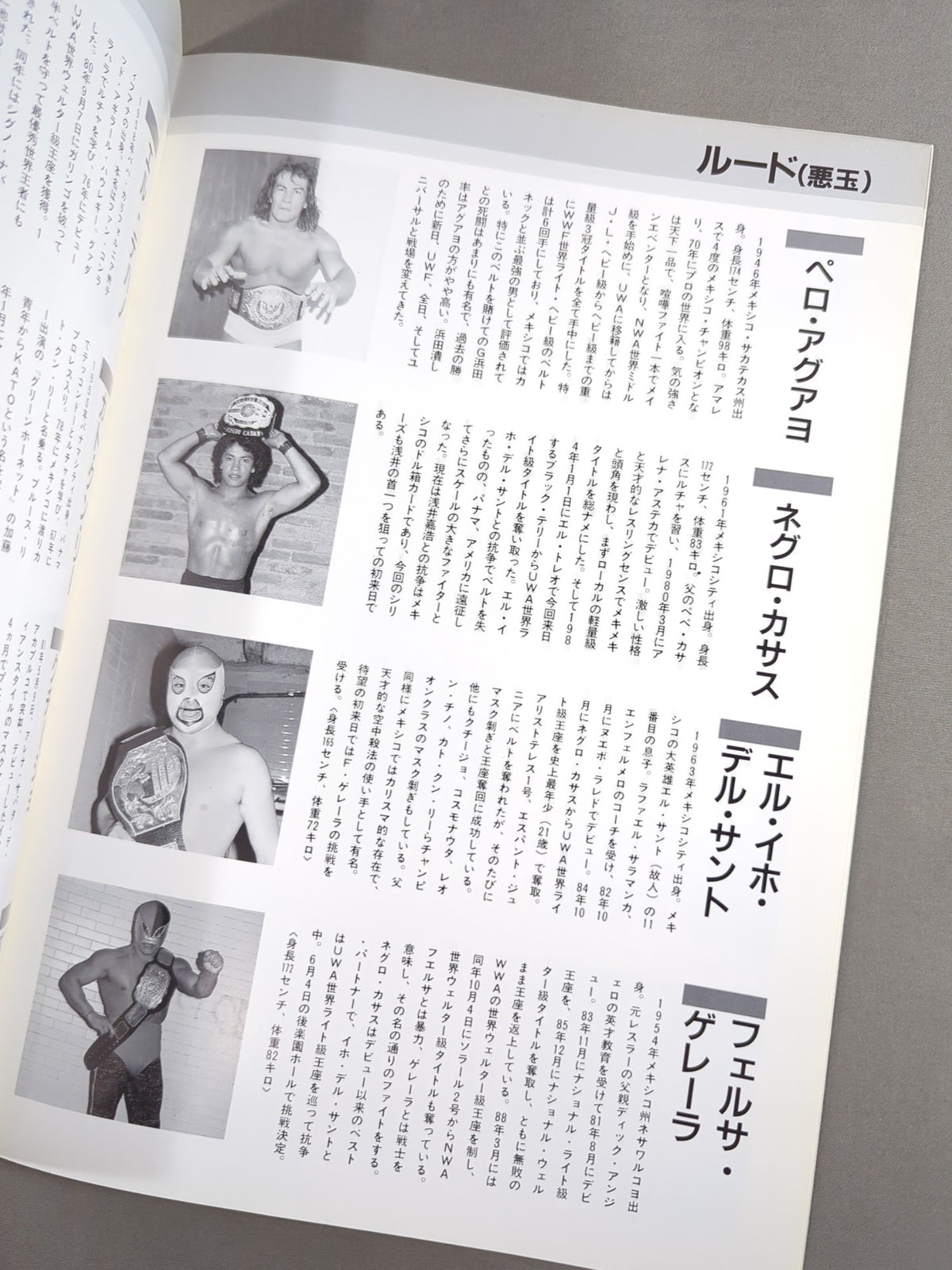 LUCHA MANIA No.2 (Vol.2)