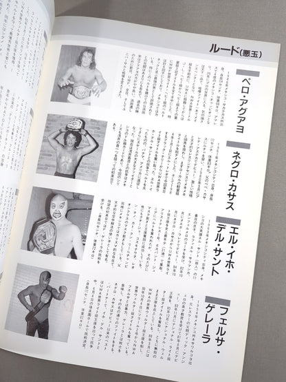 LUCHA MANIA No.2 (Vol.2)