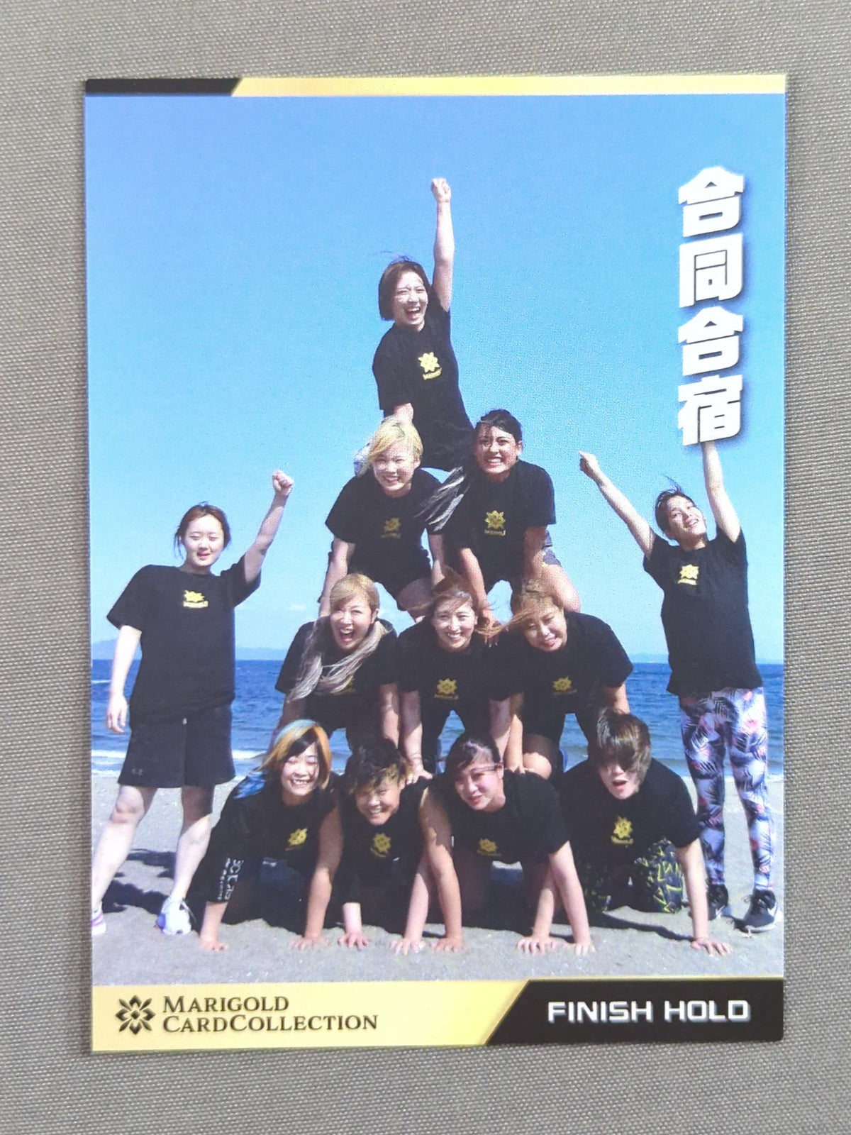 MARIGOLD CARD COLLECTION Joint Training Camp (172)