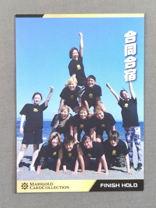 MARIGOLD CARD COLLECTION Joint Training Camp (172)
