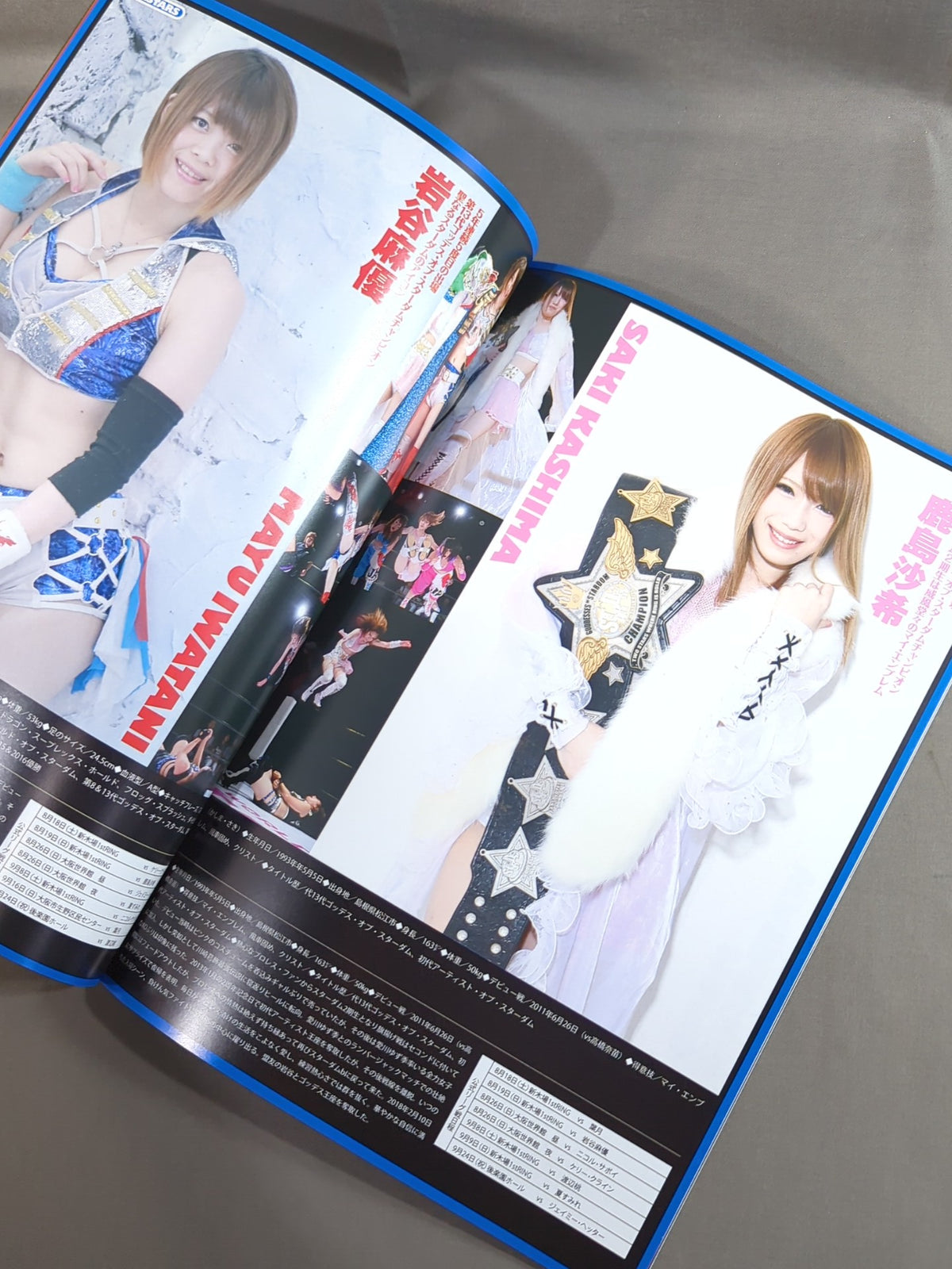 STARDOM OFFICIAL GUIDE BOOK Vol.112