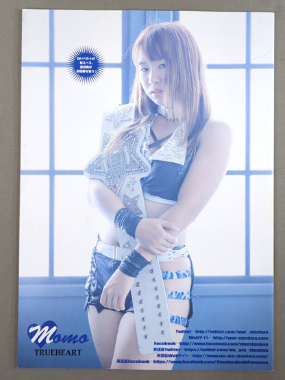 STARDOM OFFICIAL GUIDE BOOK Vol.112