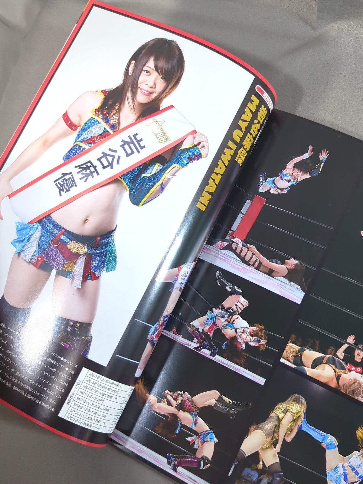 ★5-Star Championship Match ★ STARDOM OFFICIAL GUIDE BOOK Vol.126