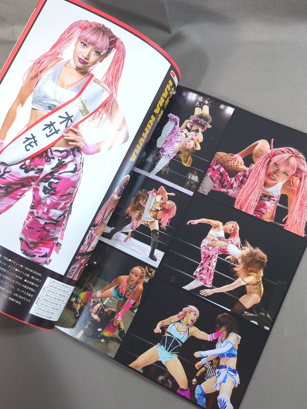 ★5-Star Championship Match ★ STARDOM OFFICIAL GUIDE BOOK Vol.126