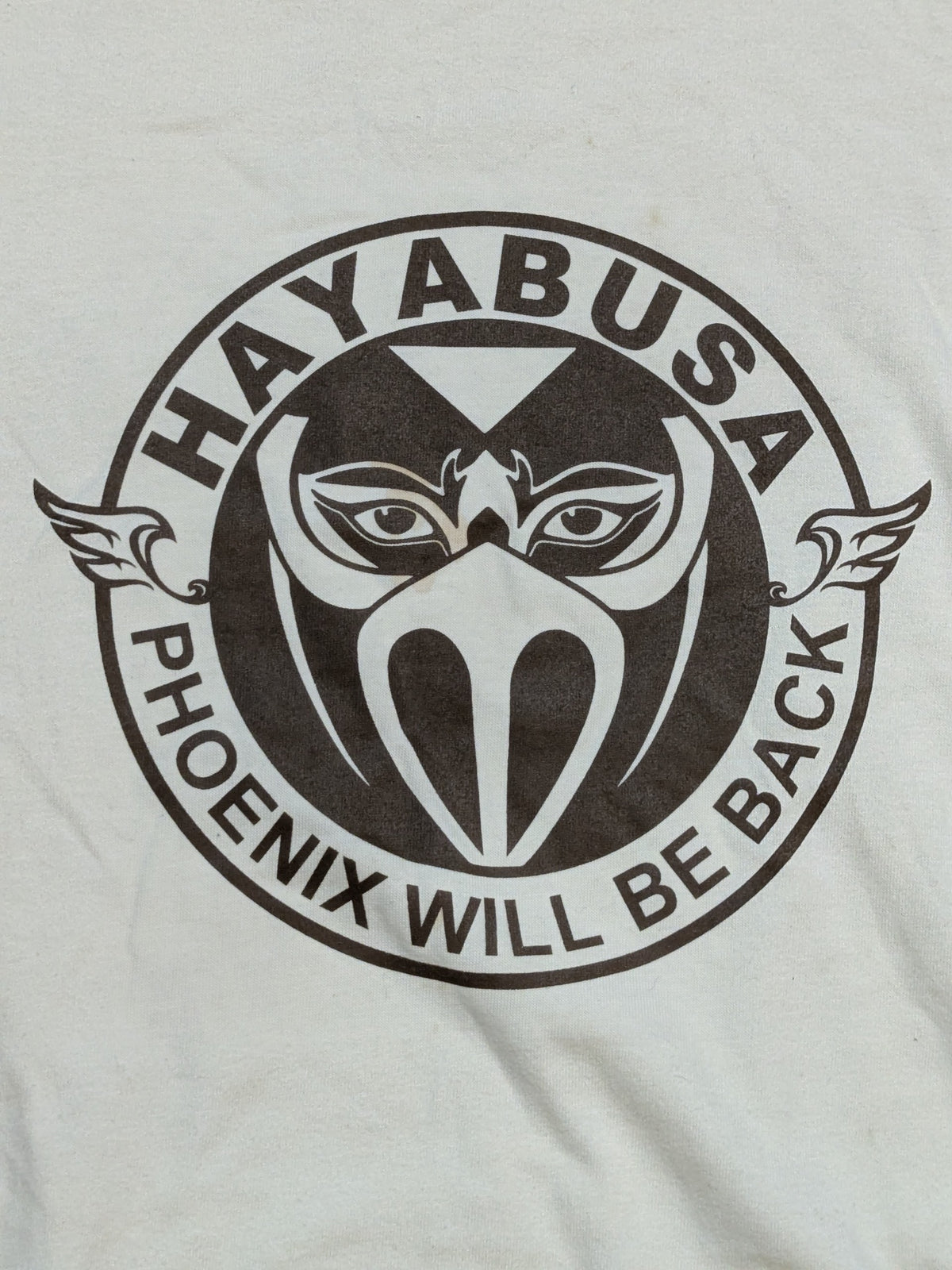 HAYABUSA  "PHOENIX WILL BE BACK" Raglan T-Shirt (Beige× Brown)