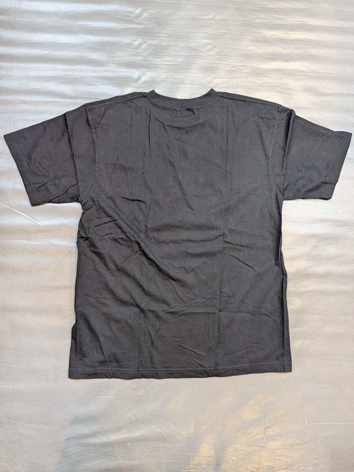 Hakushi Original T-Shirt