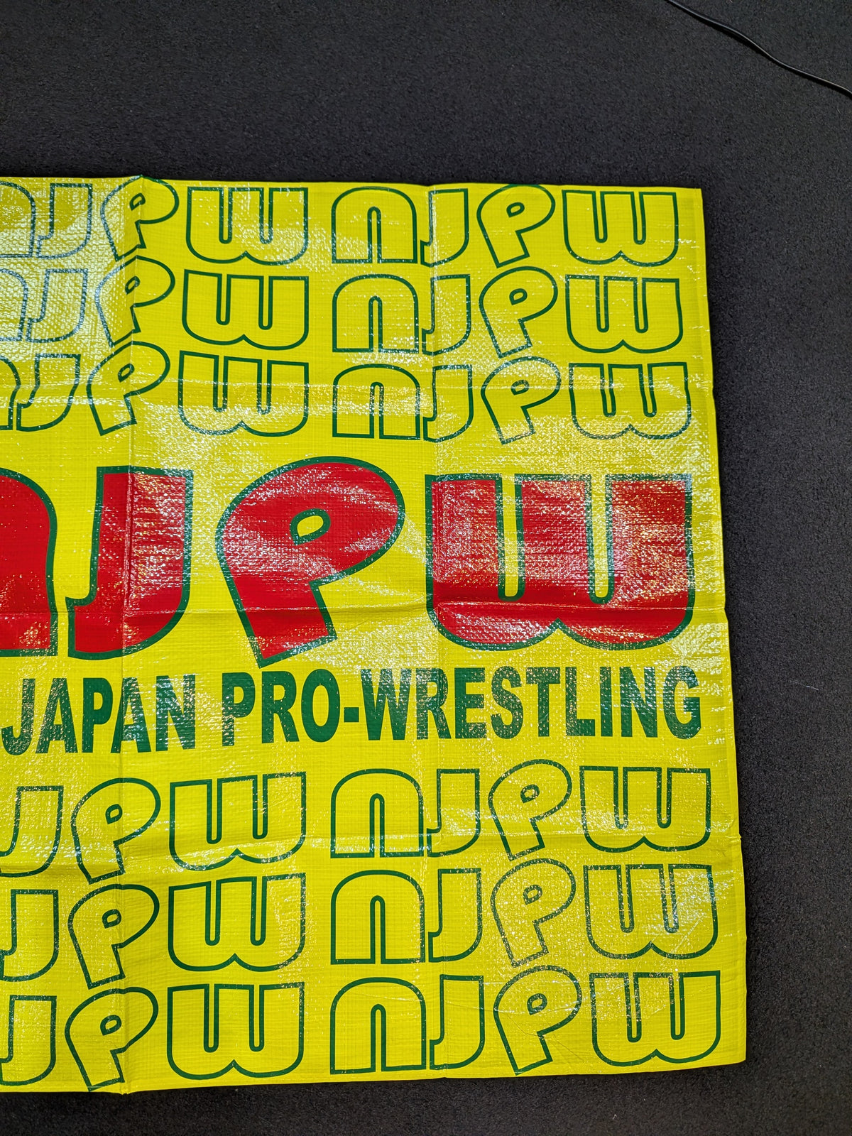 【天山広吉 直筆サイン入り】新日本プロレス NJPW ライオンマーク レジャーシート