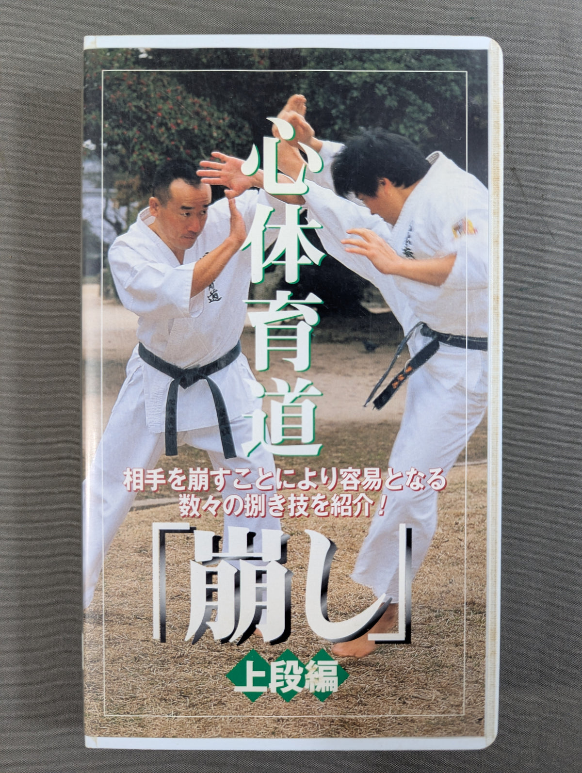 心体育道 ｢崩し｣ 上段編