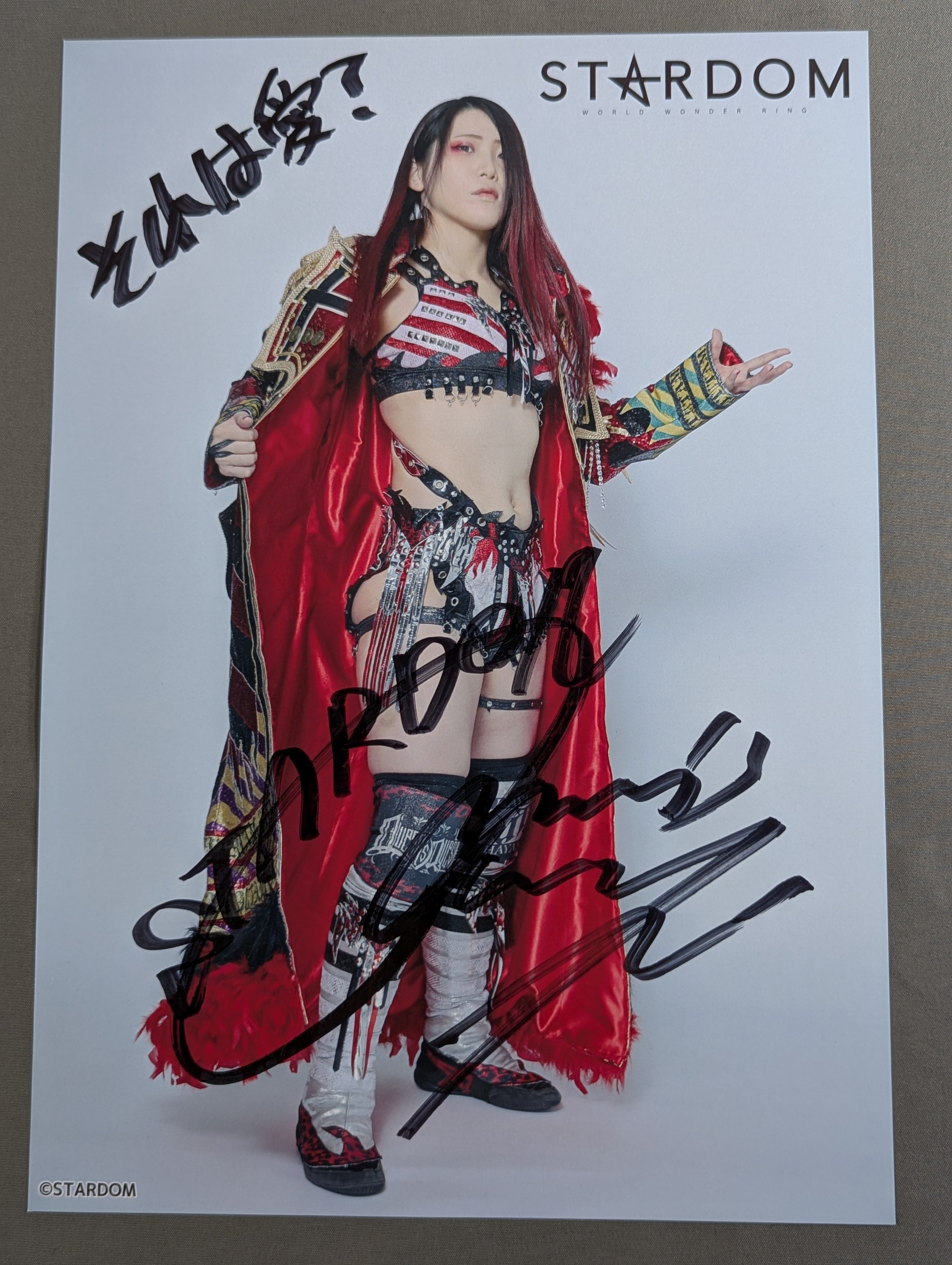 林下詩美 直筆サイン入り スターダムポートレート(A-3) – 闘道館