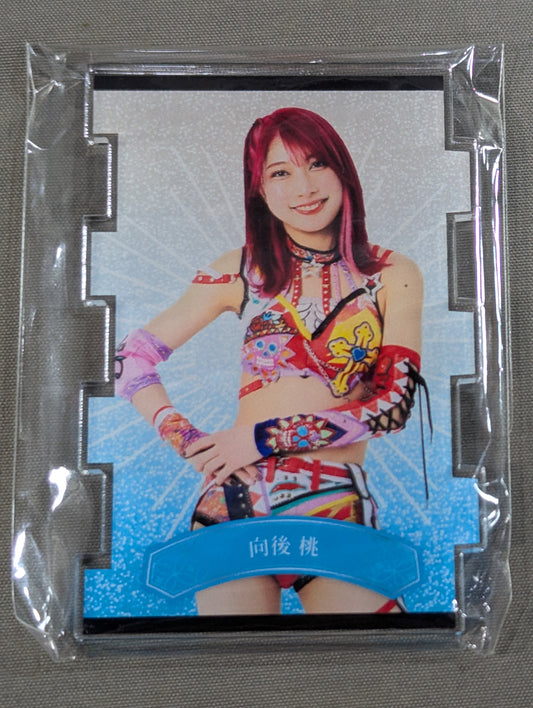 Momo Kohgo  Connecting Acrylic Folding Screen (STARDOM×FAVESTAR!)