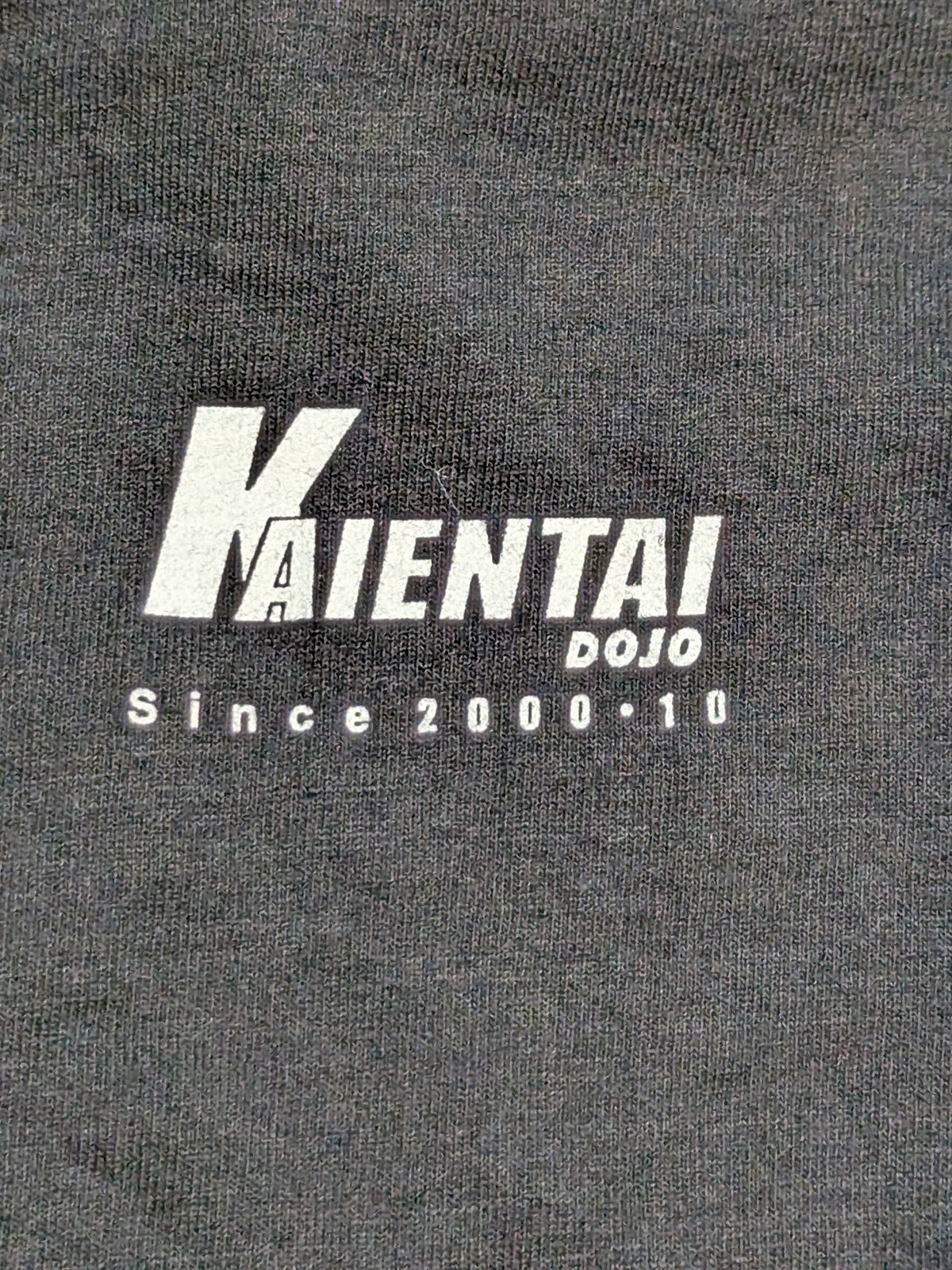 KAIENTAI-DOJO 'Kaientai' T-shirt
