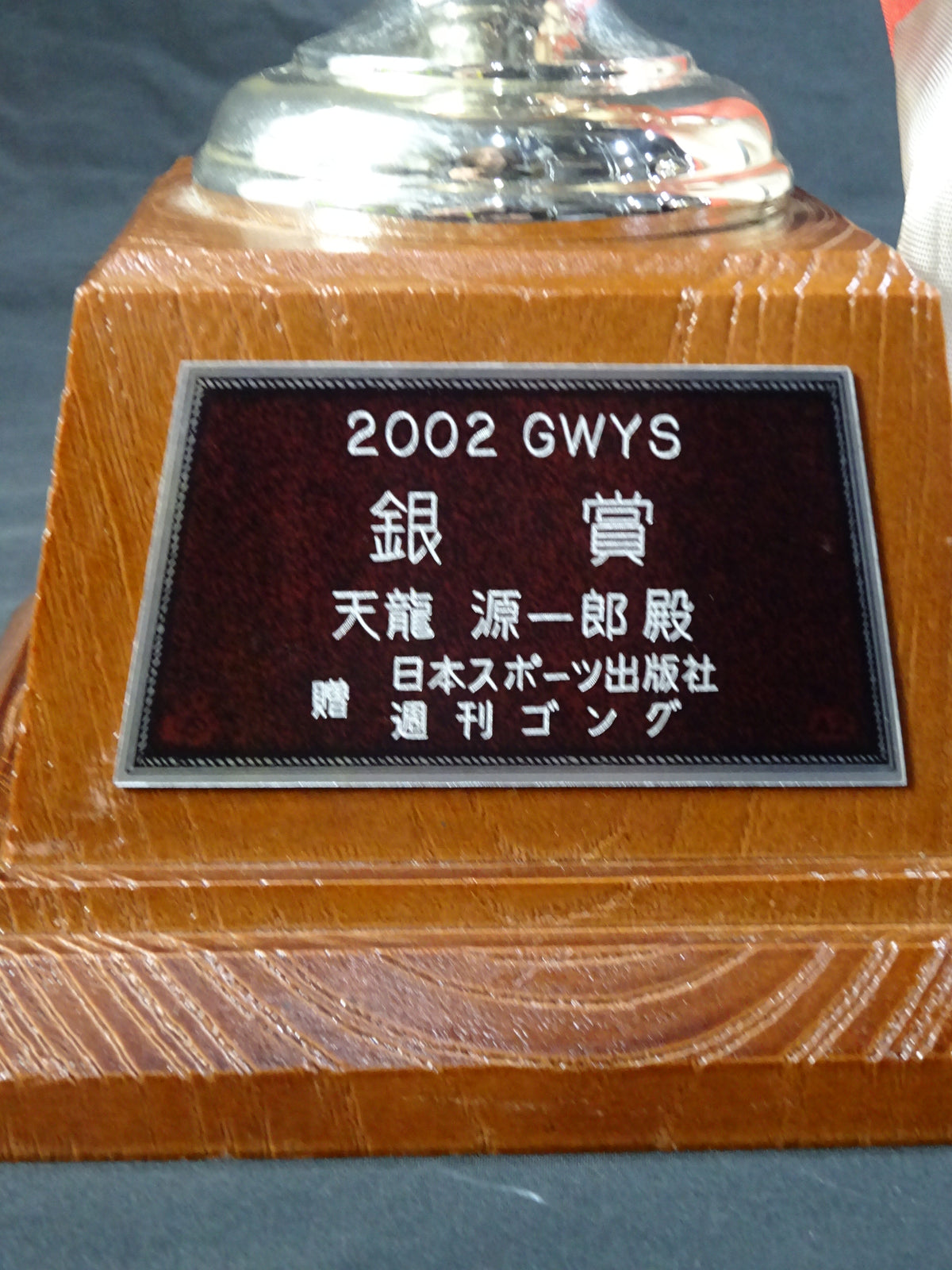 ★ ★ Tenryu Genichiro  2002 GWYS Silver Trophy