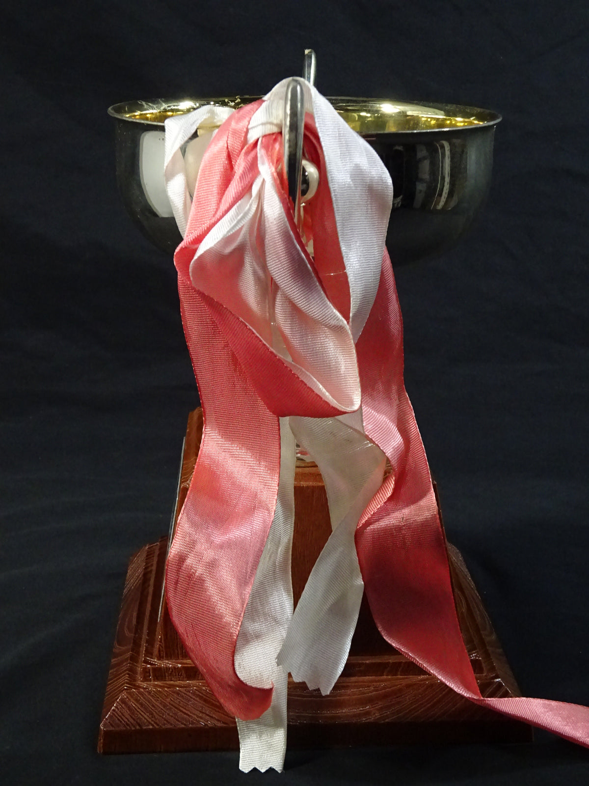★ ★ Tenryu Genichiro  2002 GWYS Silver Trophy