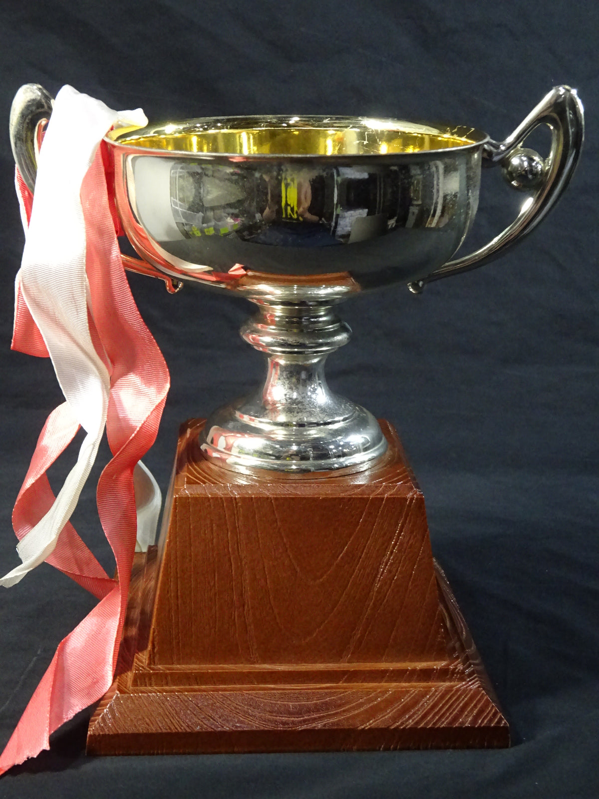 ★ ★ Tenryu Genichiro  2002 GWYS Silver Trophy