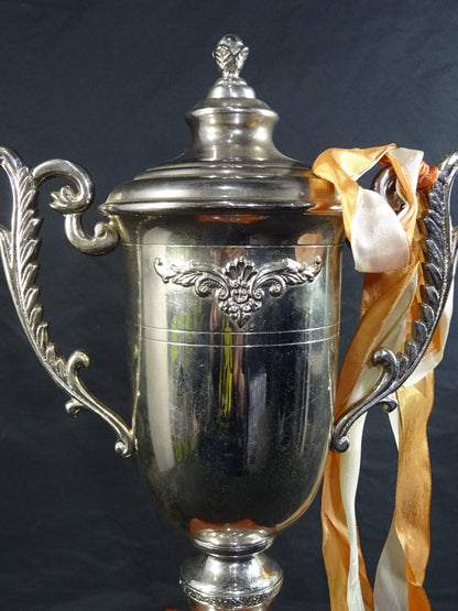 ★ ★ Tenryu Genichiro  1989 GWYS fighters  of the Year Trophy